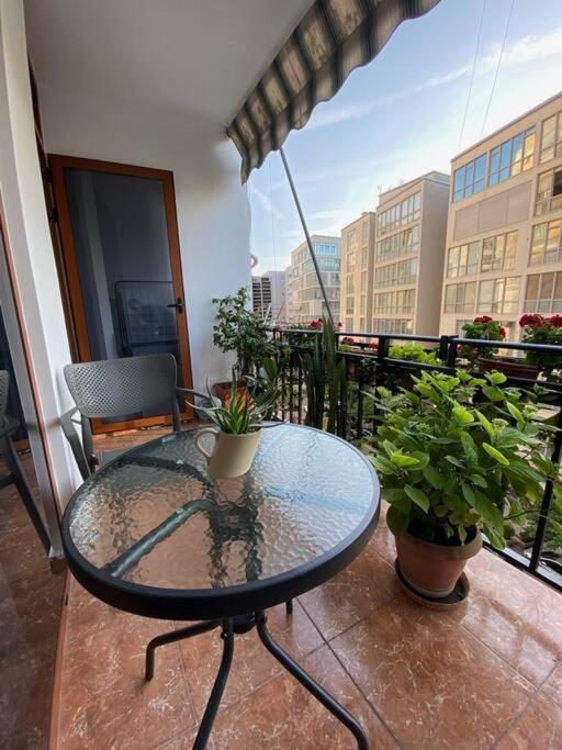 Mimosa'S Apartment With Lovely Balcony ティラナ エクステリア 写真