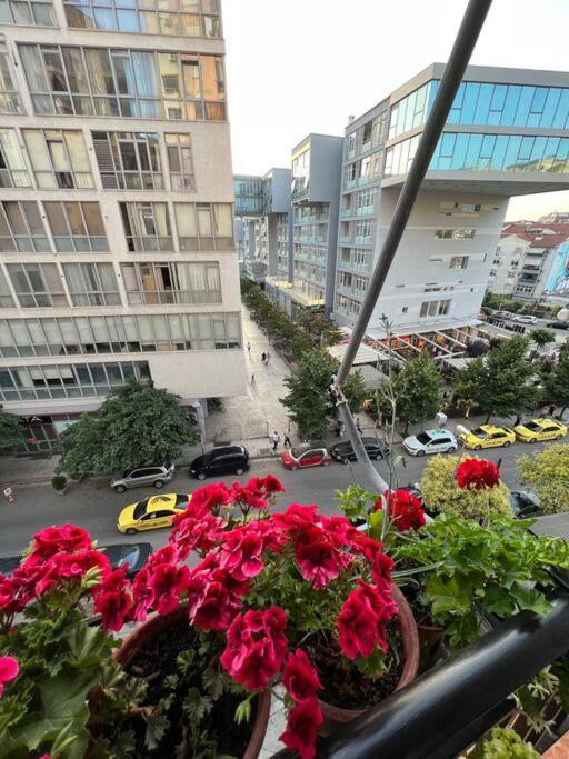 Mimosa'S Apartment With Lovely Balcony ティラナ エクステリア 写真